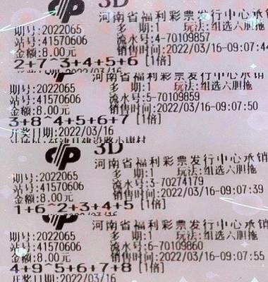  3D论坛技术全景评测：从架构设计到极端场景实战