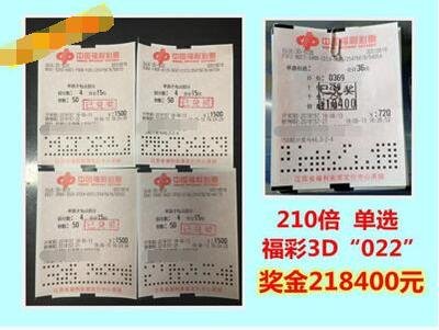  2025年3D论坛走势图技术革命：从概率解析到时空认知的范式跃迁