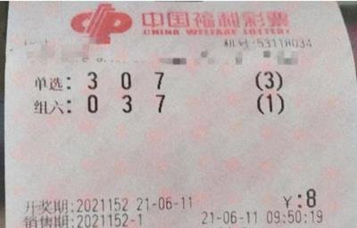  3D走势图的非技术价值探索：从认知重塑到哲学觉醒