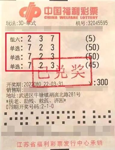  3D走势图技术解析：金融数据分析师的进阶指南