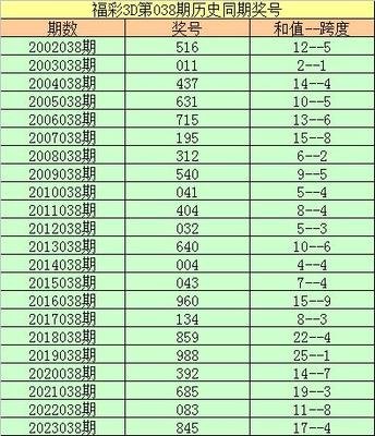 触觉革命：2025三维决策系统的认知重构之路