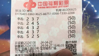  量子可视化革命：2025年三维走势图如何重塑决策基因？