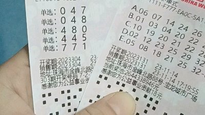 3D走势图技术解析：金融数据的三维重构法则